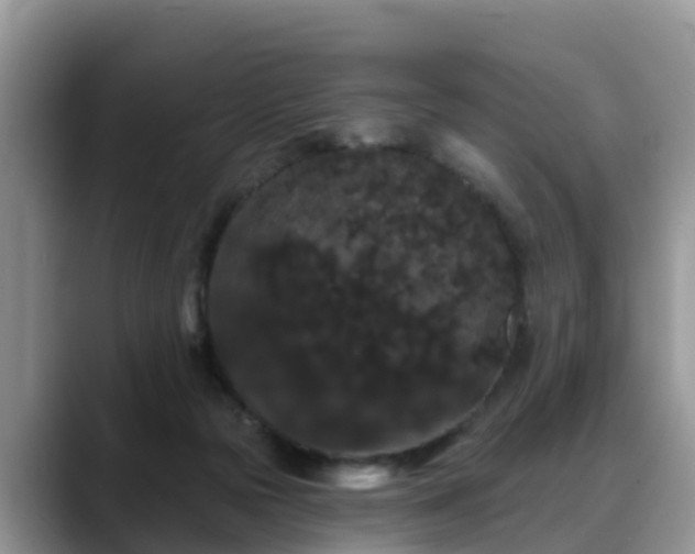 X0000088690169200706071527