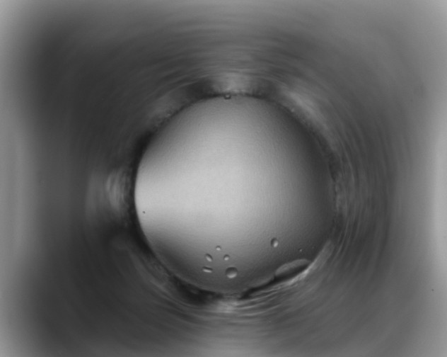 X0000088690171200706071527