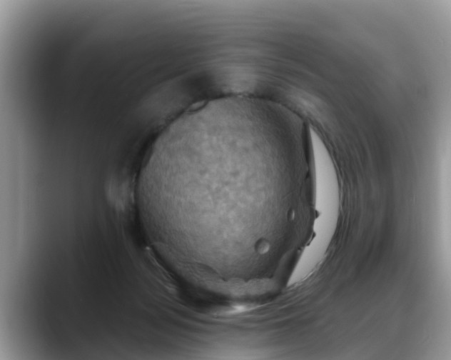 X0000088690172200706071527