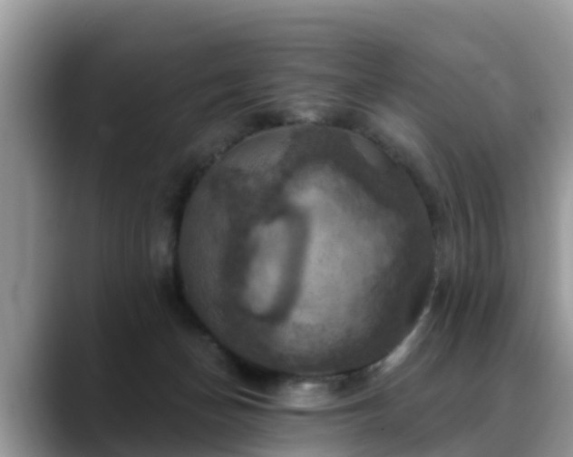 X0000088690174200706071527