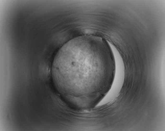 X0000088690176200706071527