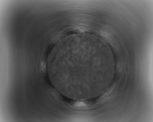 X0000088690177200706071527