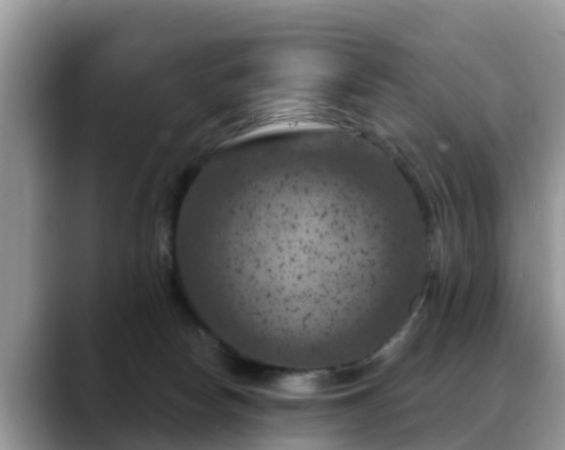 X0000088690178200706071527