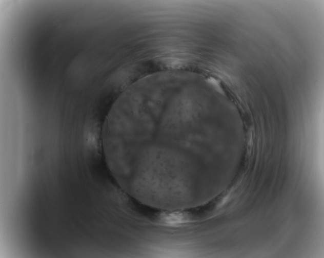 X0000088690181200706071527