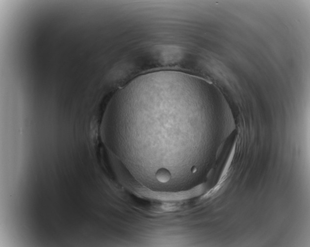 X0000088690184200706071527