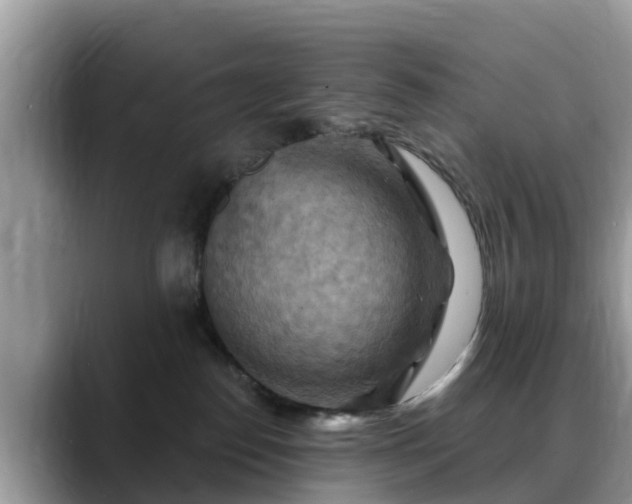 X0000088690186200706071527