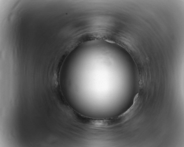 X0000088690187200706071527