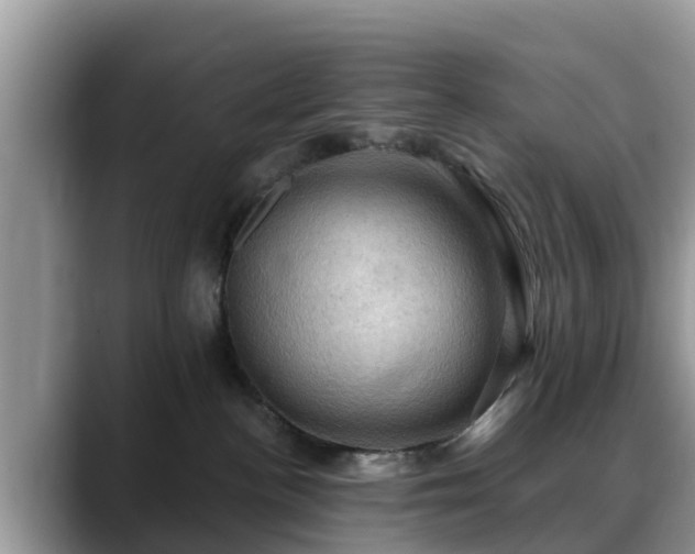 X0000088690188200706071527