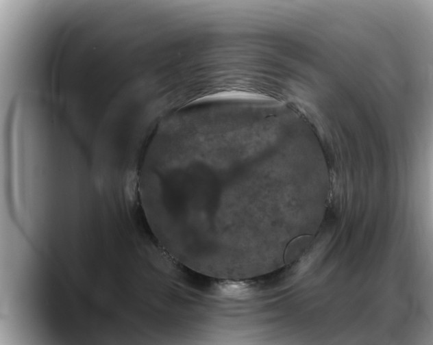 X0000088690189200706071527