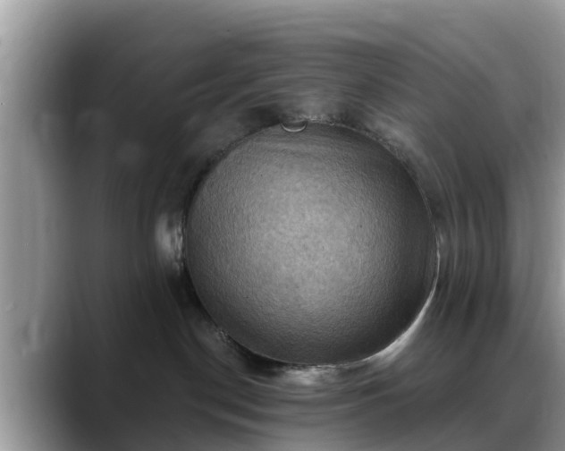X0000088690190200706071527