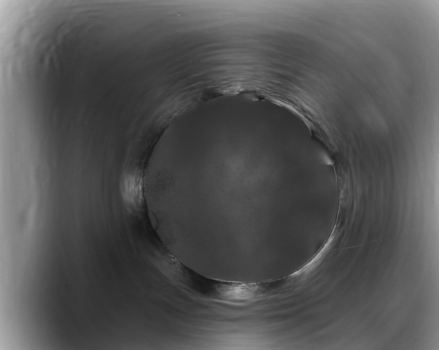 X0000088690191200706071527