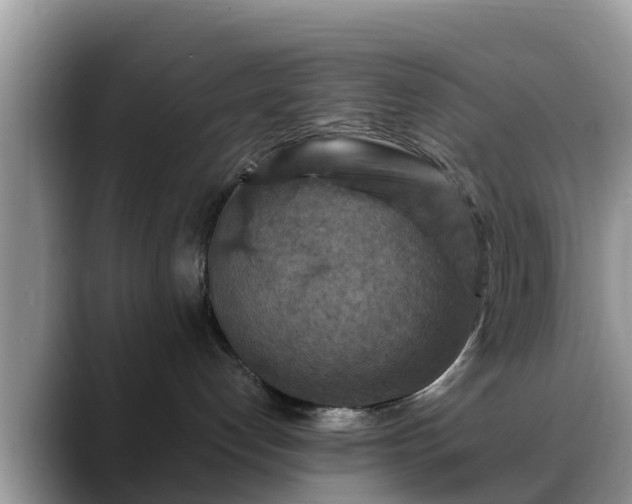 X0000088690192200706071527