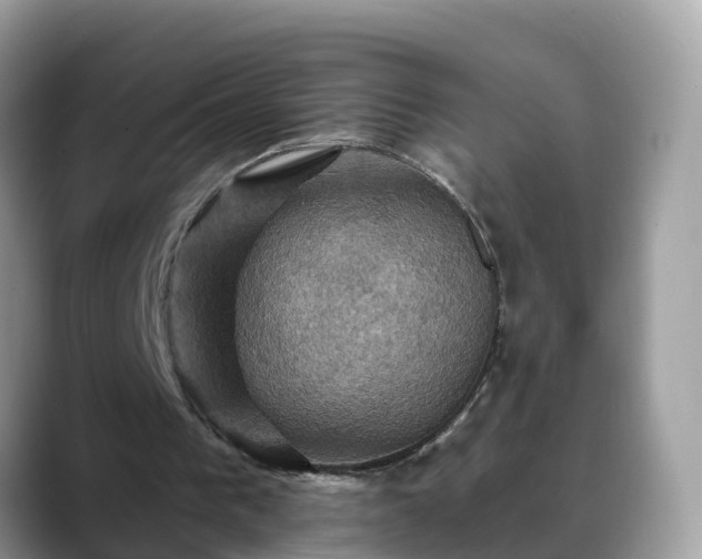 X0000088690193200706071526