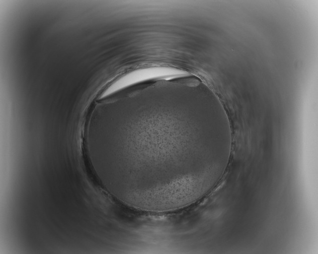 X0000088690194200706071526