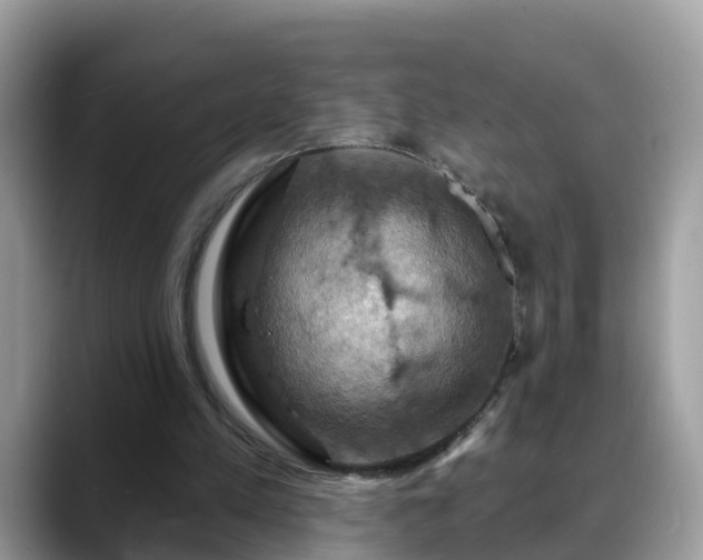 X0000088690197200706071526
