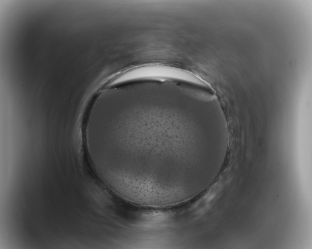 X0000088690198200706071526