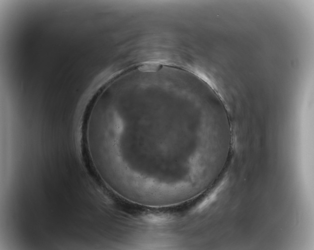 X0000088690199200706071526