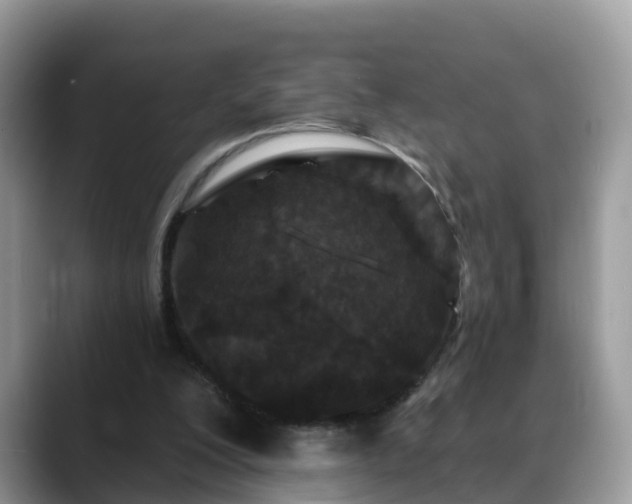 X0000088690200200706071526