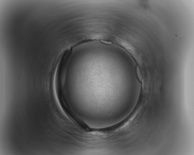 X0000088690201200706071526
