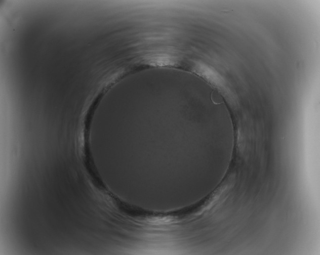 X0000088690202200706071526