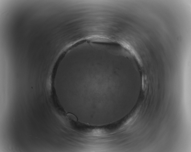 X0000088690204200706071526