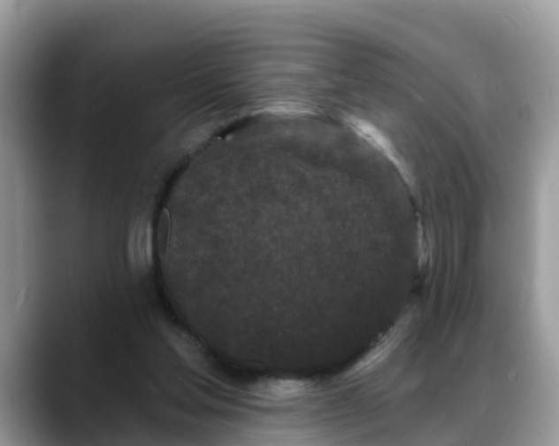 X0000088690205200706071526