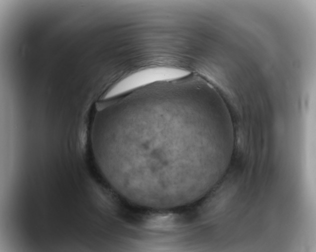 X0000088690206200706071526
