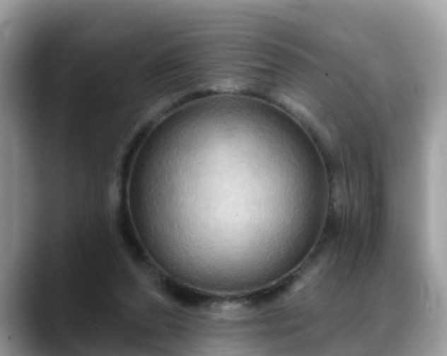 X0000088690208200706071526