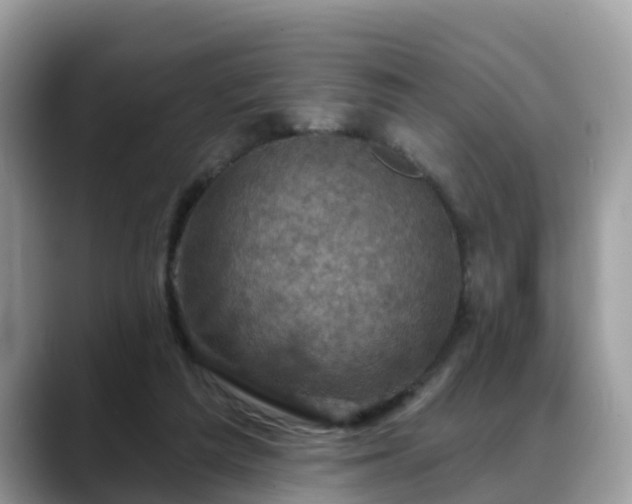X0000088690209200706071526