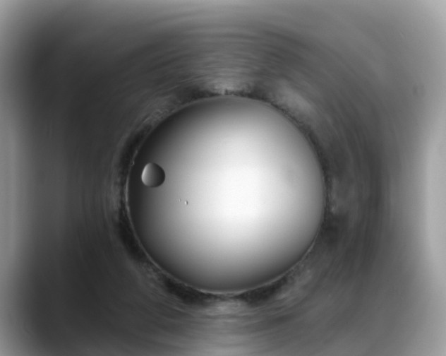 X0000088690210200706071526