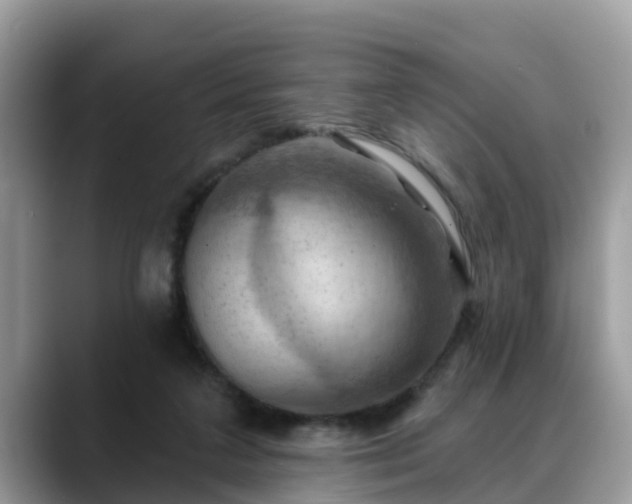 X0000088690211200706071526