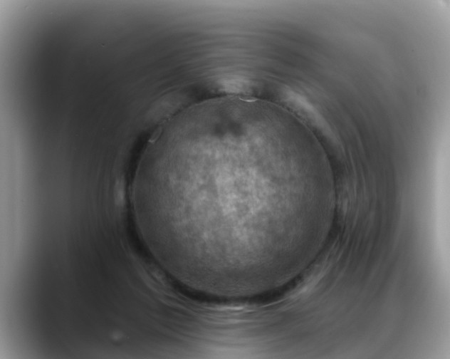 X0000088690213200706071526