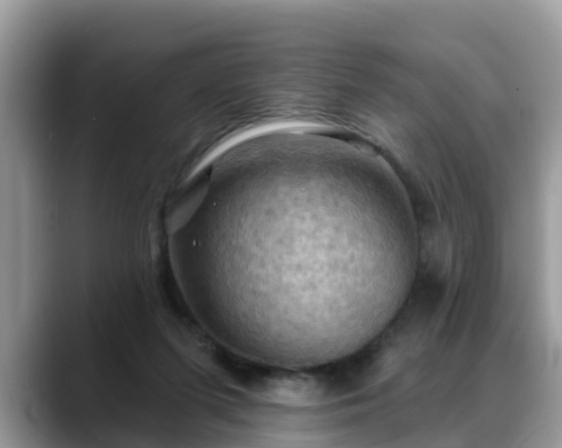 X0000088690215200706071526