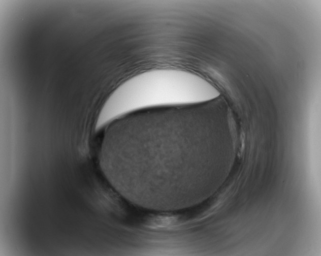 X0000088690217200706071526