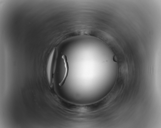 X0000088690218200706071526