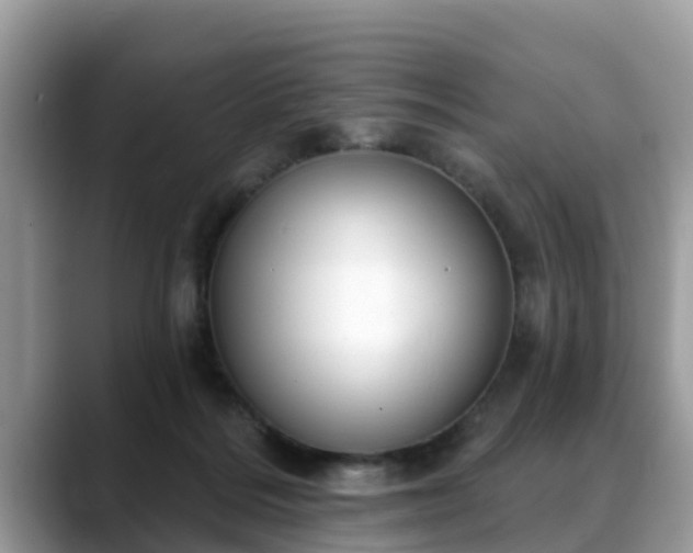X0000088690220200706071526