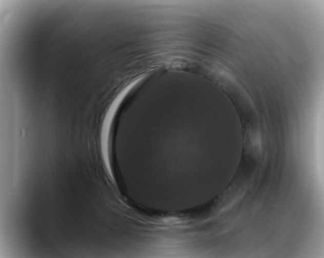 X0000088690224200706071526