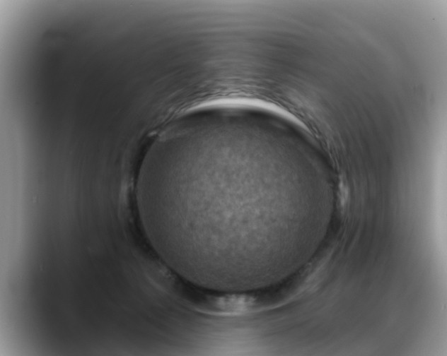X0000088690225200706071526