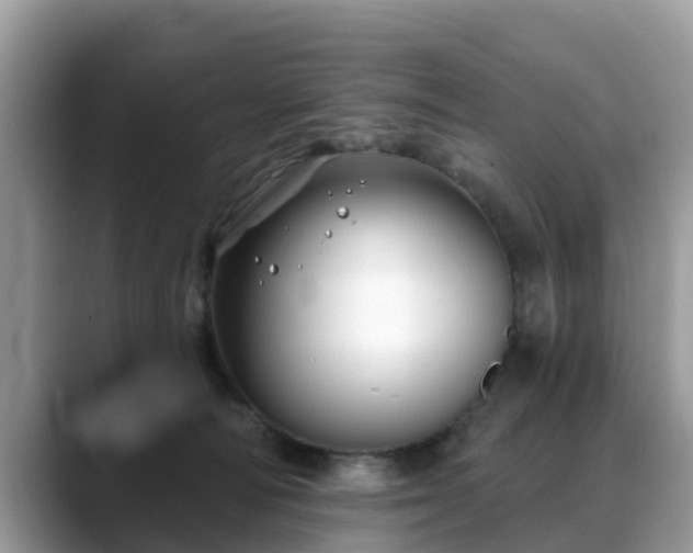 X0000088690226200706071526