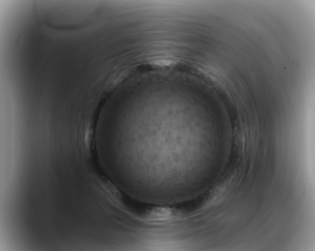 X0000088690227200706071526