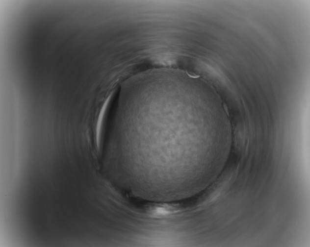 X0000088690229200706071526