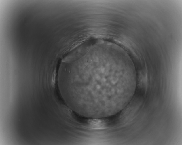 X0000088690230200706071526