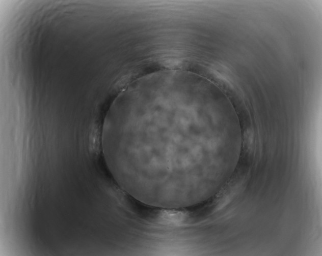 X0000088690234200706071526