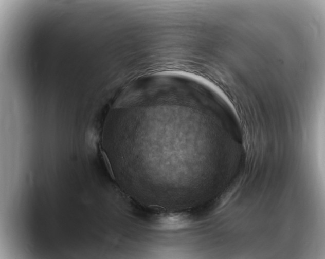 X0000088690235200706071526