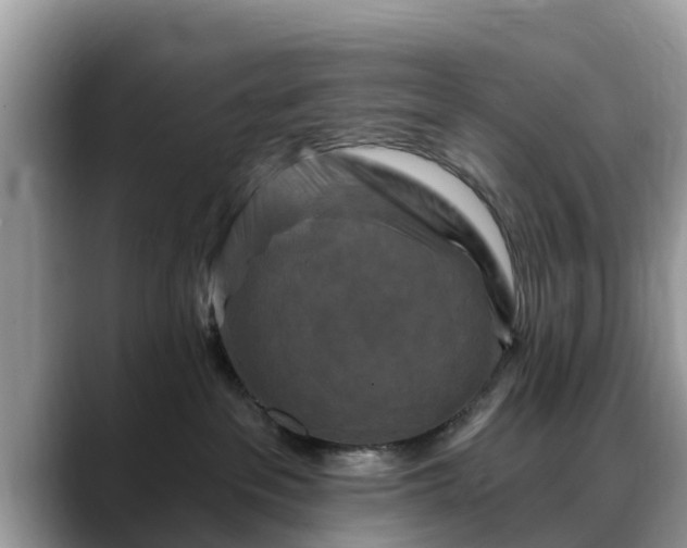 X0000088690237200706071526