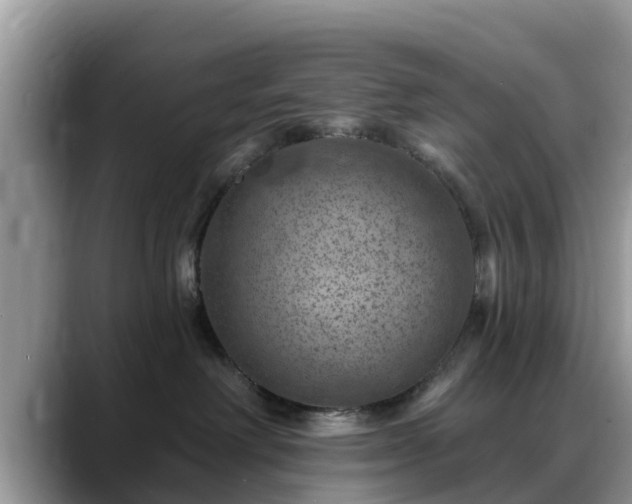 X0000088690238200706071526
