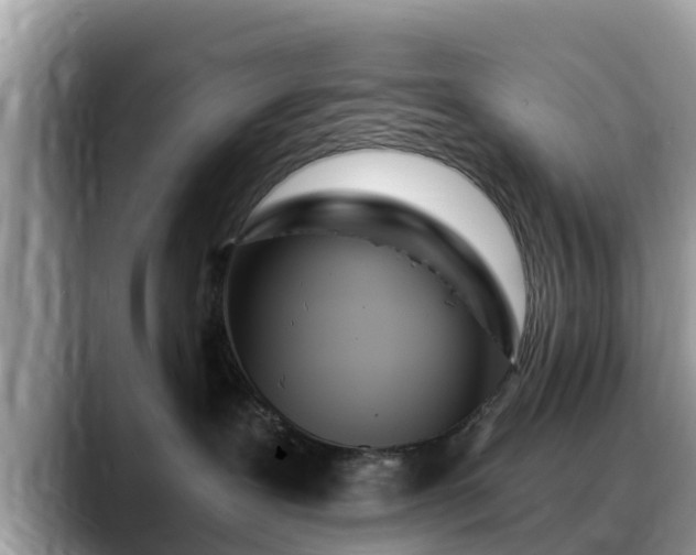 X0000088690239200706071526