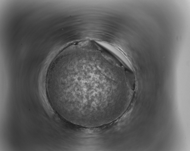 X0000088690241200706071525