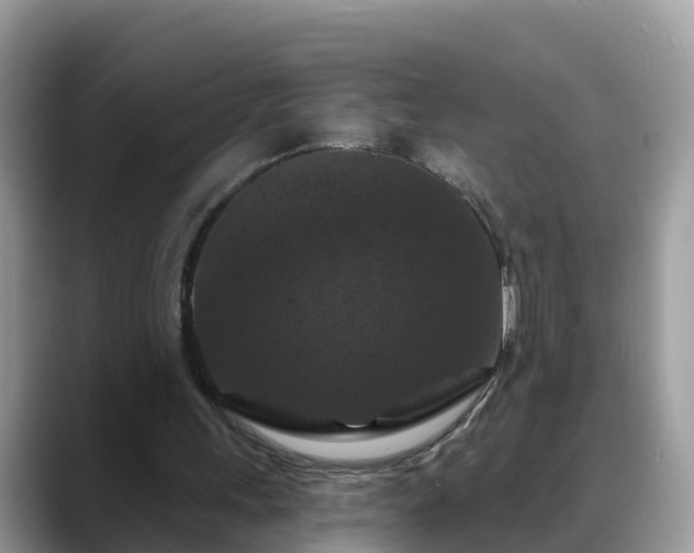X0000088690243200706071525