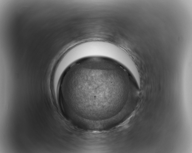 X0000088690244200706071525